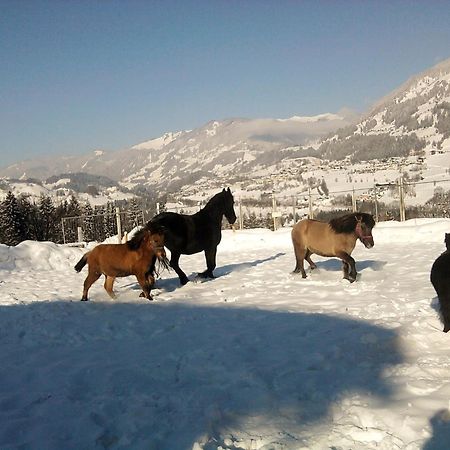 Weidinghof Leilighet Sankt Veit im Pongau Eksteriør bilde